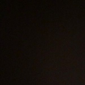 Meet your Posher, Zoe